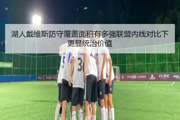 湖人戴维斯防守覆盖面积有多强联盟内线对比下更显统治价值