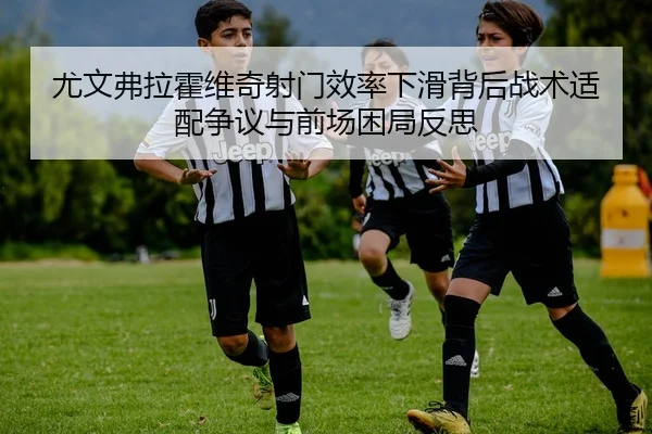 尤文弗拉霍维奇射门效率下滑背后战术适配争议与前场困局反思