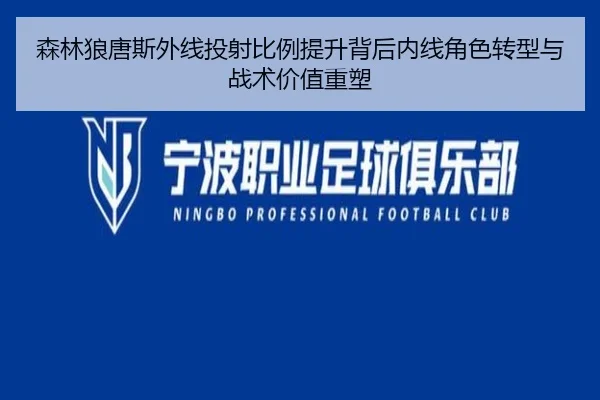 森林狼唐斯外线投射比例提升背后内线角色转型与战术价值重塑
