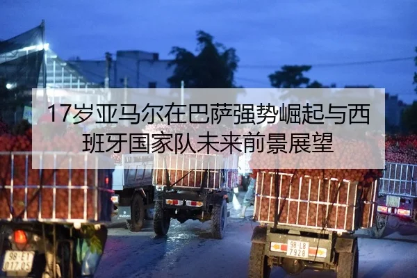 17岁亚马尔在巴萨强势崛起与西班牙国家队未来前景展望