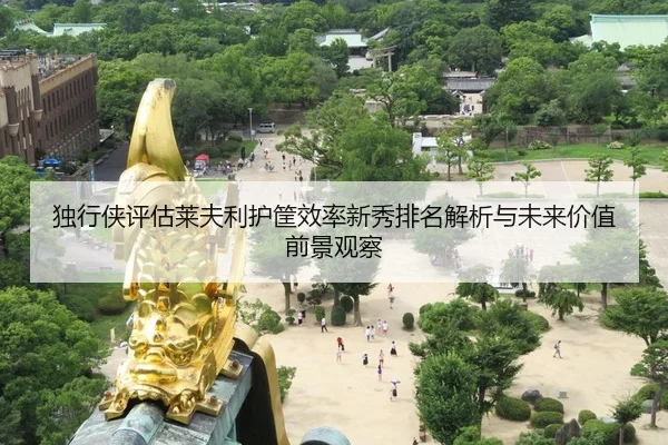 独行侠评估莱夫利护筐效率新秀排名解析与未来价值前景观察