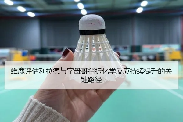 雄鹿评估利拉德与字母哥挡拆化学反应持续提升的关键路径
