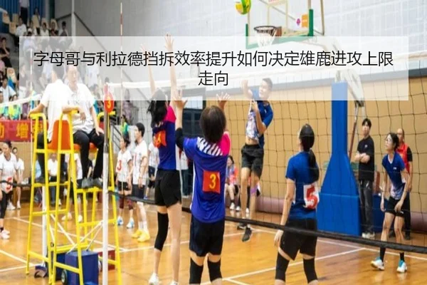 字母哥与利拉德挡拆效率提升如何决定雄鹿进攻上限走向