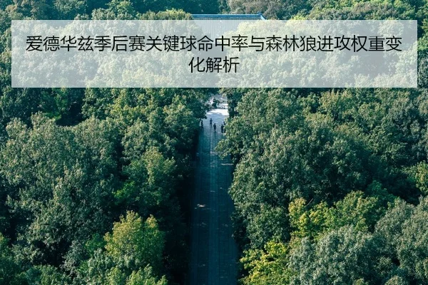 爱德华兹季后赛关键球命中率与森林狼进攻权重变化解析